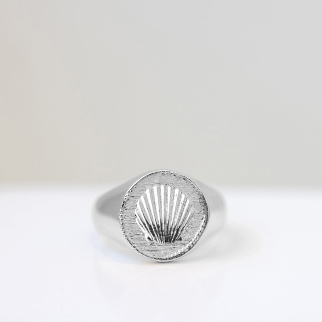 Shell signet ring for Men