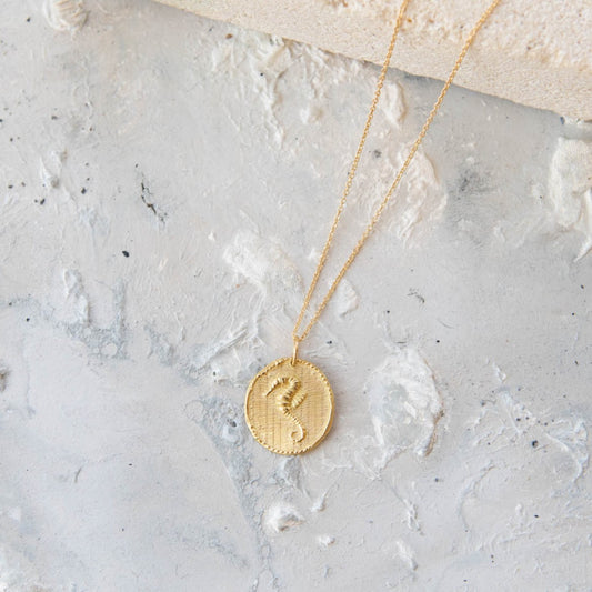 Charming Hippocampus medal