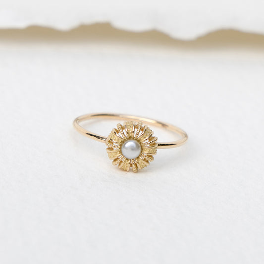 Mare Classic ring