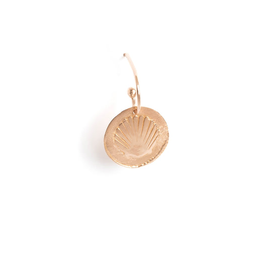 Tiny Seashell earrings